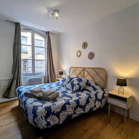 Prázdninový dům Au Coeur Du Puy-en-velay - Fr-1-582-544 *