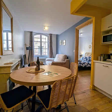 Au Coeur Du Puy-en-velay - Fr-1-582-544 بيت للعطل Le Puy-en-Velay