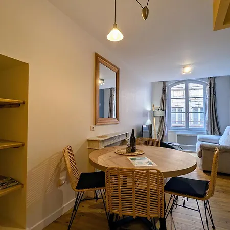 Au Coeur Du Puy-en-velay - Fr-1-582-544 別荘 Le Puy-en-Velay